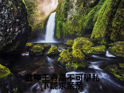 小说(战神王爷高不可攀私下跪求亲亲)在线赏析_秦南柚萧绎txt小说在线阅读笔趣阁