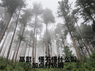 江阳(高武:懂不懂什么叫加点升级啊)精选小说大结局阅读-抖音新书热荐江阳
