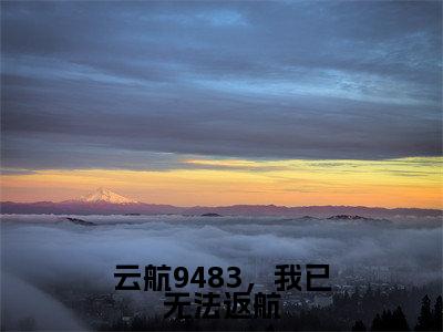 苏之星陆秦川(云航9483,我已无法返航)全文免费阅读_苏之星陆秦川小说最新章节列表笔趣阁