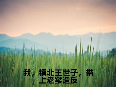 我，镇北王世子，带上老爹造反全文最新章节（楚峰）全文免费阅读无弹窗大结局_楚峰免费阅读