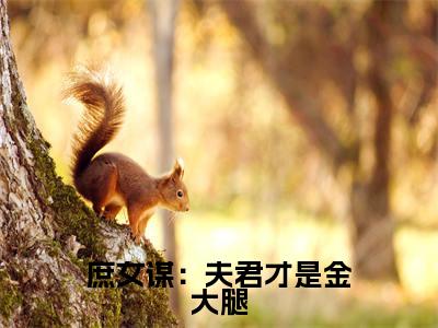  顾铮王庶娘（庶女谋：夫君才是金大腿）独家首发免费小说-（ 顾铮王庶娘）庶女谋：夫君才是金大腿小说全文在线阅读笔趣阁