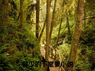 容少的下堂妻（ 冬冬丽娜）全文免费阅读无弹窗大结局-容少的下堂妻免费阅读全文大结局-笔趣阁