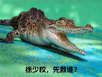 徐少校,先救谁?小说全文免费阅读无弹窗-苏思妤徐庭深全文在线阅读