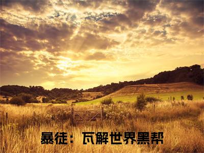 暴徒：瓦解世界黑帮免费阅读无弹窗最新章节列表-（ 孔大宏孔大宏）全文免费阅读大结局笔趣阁（ 孔大宏孔大宏）