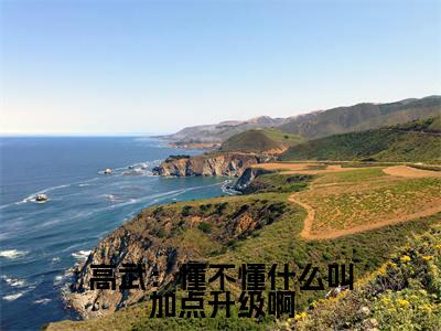 高武：懂不懂什么叫加点升级啊全文免费阅读无弹窗大结局_(江阳)免费阅读全文无弹窗_