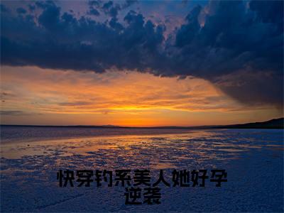 快穿钓系美人她好孕逆袭小说全文免费阅读苏棠免费完整版阅读
