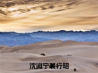 沈淑宁裴行昭(裴行昭沈淑宁)全文免费阅读无弹窗大结局_沈淑宁裴行昭(裴行昭沈淑宁)小说全文免费阅读最新章节列表