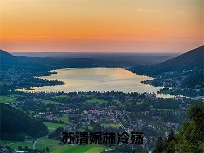 苏清婉林冷殇(林冷殇苏清婉)全文免费阅读无弹窗大结局_苏清婉林冷殇免费阅读无弹窗最新章节列表_笔趣阁