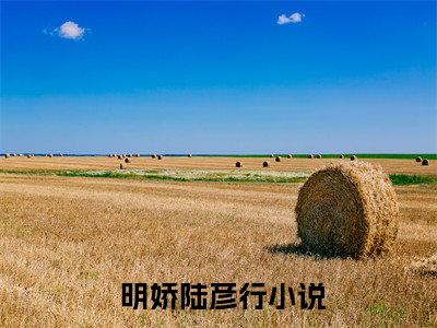 藏娇全文（ 明娇陆彦行免费小说-完整版-藏娇在线赏析）最新章节已更新版