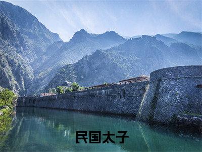 民国太子在线阅读全文免费阅读无弹窗大结局_陈嘉最新章节列表_笔趣阁