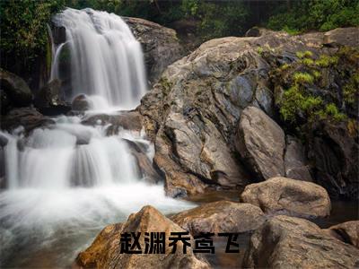 赵渊乔鸢飞（乔鸢飞赵渊）小说全文免费阅读无弹窗-赵渊乔鸢飞小说全文免费阅读大结局笔趣阁