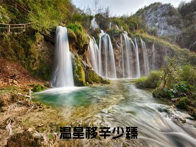 辛少臻温星移小说(温星移辛少臻)全文免费阅读无弹窗大结局_辛少臻温星移小说最新章节列表