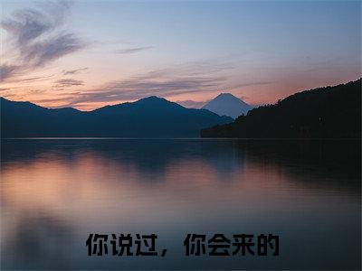 沈洛歆裴言川（你说过，你会来的）全文在线阅读无弹窗大结局_(沈洛歆裴言川在线阅读)最新章节列表_笔趣阁