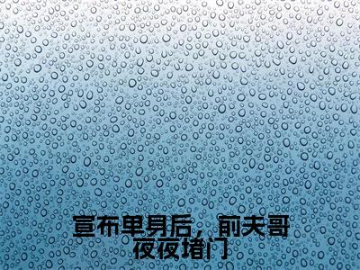 宣布单身后，前夫哥夜夜堵门最新章节，宣布单身后，前夫哥夜夜堵门今日热议小说完本阅读