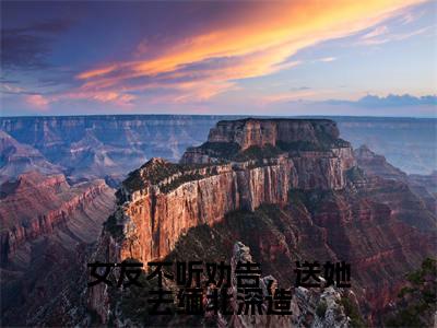 女友不听劝告,送她去缅北深造(苏云安)精彩热门小说-女友不听劝告,送她去缅北深造全章节免费阅读