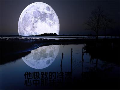 夏静姝顾华晨（他极致的冷漠，使得心中那抹光亮暗淡了）全文免费阅读无弹窗大结局他极致的冷漠，使得心中那抹光亮暗淡了（夏静姝顾华晨）