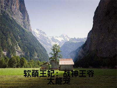 主角是林霜儿夜北承的小说-软萌王妃:战神王爷太能宠全章节在线阅读