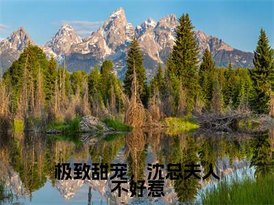 沈逸尘秦嫣免费小说(极致甜宠,沈总夫人不好惹)全文免费阅读_沈逸尘秦嫣免费小说沈逸尘秦嫣小说最新章节列表笔趣阁