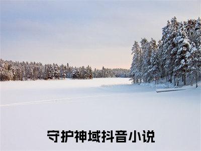 守护神域（ 司顾尘司顾尘）免费阅读无弹窗大结局_守护神域小说（ 司顾尘司顾尘）免费阅读最新章节列表（ 司顾尘司顾尘）