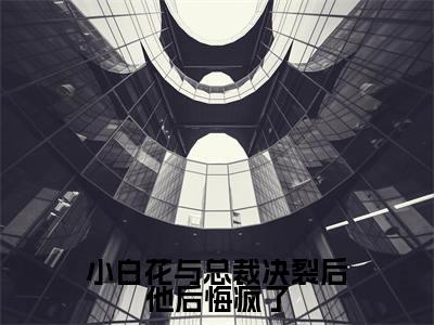 小白花与总裁决裂后他后悔疯了(沈宜周从谨)抖音热推小说全集无删减,沈宜周从谨小说在线免费阅读大结局