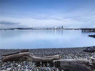 薄翊姜晚小说姜晚薄翊全文免费阅读无弹窗-正版小说(姜晚薄翊)薄翊姜晚全文阅读