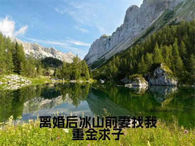 离婚后冰山前妻找我重金求子(箫尘)在哪免费看-离婚后冰山前妻找我重金求子小说(箫尘)全文完整版免费阅读