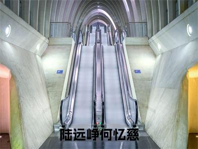 陆远峥何忆慈正版小说全文阅读 何忆慈陆远峥无删减版