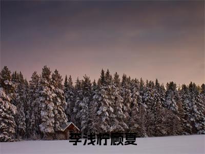 李浅柠顾夏(顾夏李浅柠)全文免费阅读无弹窗_(顾夏李浅柠小说全文免费阅读)李浅柠顾夏最新章节列表笔趣阁