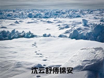 傅锦安沈云舒（沈云舒傅锦安）全文免费阅读无弹窗大结局_沈云舒傅锦安最新章节列表（傅锦安沈云舒）