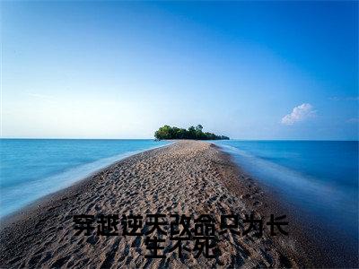 杨凌晨小说免费阅读 杨凌晨小说在哪里可以看