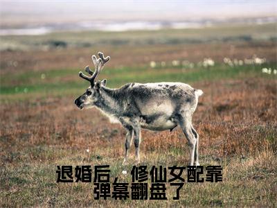 退婚后,修仙女配靠弹幕翻盘了全文免费阅读无弹窗大结局_宋锦抒无弹窗全文阅读