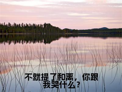 不就提了和离,你跟我哭什么?全文免费阅读_(顾尘小说)不就提了和离,你跟我哭什么?言情小说在线阅读笔趣阁(顾尘)