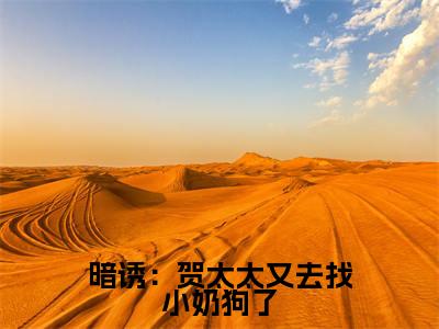 暗诱：贺太太又去找小奶狗了(温欲晚贺庭舟)全文免费阅读无弹窗大结局_(暗诱：贺太太又去找小奶狗了)温欲晚贺庭舟全文免费完结版阅读