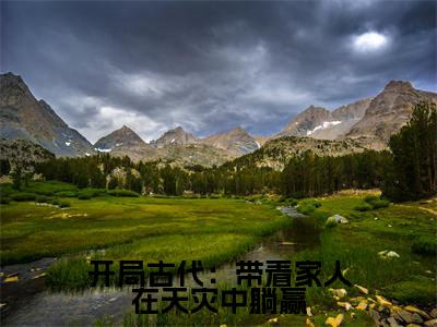 开局古代:带着家人在天灾中躺赢小说(花锦)全文免费阅读无弹窗大结局_(开局古代:带着家人在天灾中躺赢)花锦最新章节列表