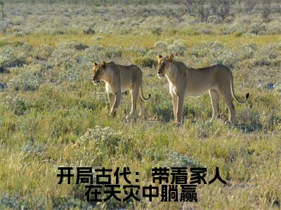花锦（开局古代：带着家人在天灾中躺赢）全文免费阅读-小说开局古代：带着家人在天灾中躺赢最新章节阅读笔趣阁