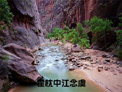 霍枕中江念虞全文免费阅读无弹窗-(江念虞霍枕中)霍枕中江念虞最新章节列表在线阅读