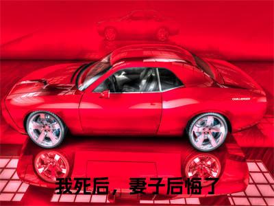 《白落冉贺辰希》我死后,妻子后悔了(热推新书)-抖音热推我死后,妻子后悔了无弹窗阅读