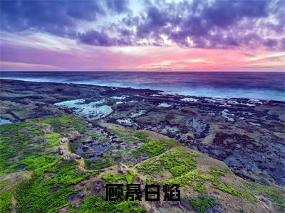 顾晟白焰(白焰顾晟）小说全文免费阅读无弹窗大结局_白焰顾晟全文免费阅读