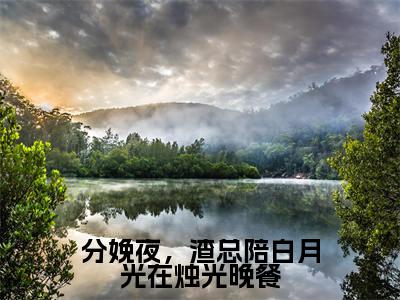 分娩夜,渣总陪白月光在烛光晚餐免费小说全文免费阅读无弹窗大结局_唐筝薄夜宸完结版在线阅读