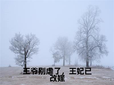 顾千舟君墨沉（王爷别虐了，王妃已改嫁）全文免费阅读无弹窗大结局_顾千舟君墨沉免费阅读最新章节列表_笔趣阁