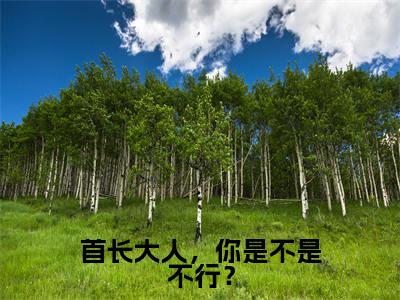 阮宁锦叶季同小说（首长大人，你是不是不行？）全文免费阅读无弹窗大结局_首长大人，你是不是不行？最新章节列表_笔趣阁（阮宁锦叶季同）