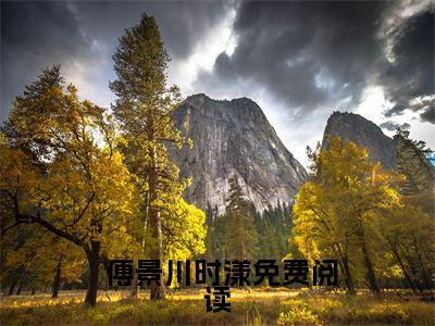  傅景川时漾小说免费阅读全文（ 傅景川时漾）全文免费阅读无弹窗大结局_拐来的前夫很难甜最新章节列表