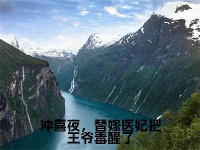 (冲喜夜,替嫁医妃把王爷毒醒了)在线阅读-主角是(慕晚吟萧惊寒)的小说冲喜夜,替嫁医妃把王爷毒醒了全文赏析最新章节列表_笔趣阁