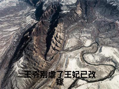 王爷别虐了王妃已改嫁大结局全文免费阅读最新章节_顾千舟君墨沉大结局