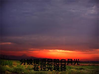 分娩夜渣总陪白月光在烛光晚餐小说(唐筝薄夜宸)最新章节阅读-分娩夜渣总陪白月光在烛光晚餐(唐筝薄夜宸)免费阅读无弹窗大结局