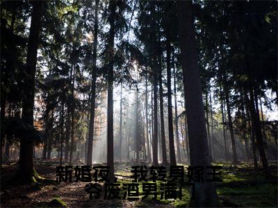 新婚夜,我转身嫁王爷废渣男满门(姜飞飞顾修衍)免费小说-新婚夜,我转身嫁王爷废渣男满门小说完整版阅读
