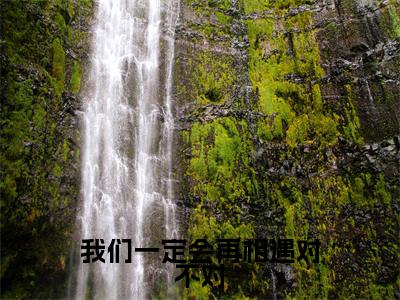 彭烟萝岑云飞全文免费阅读大结局-我们一定会再相遇对不对结局免费阅读