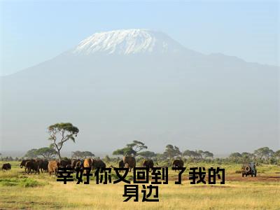 幸好你又回到了我的身边(苏栩凝顾风遇)最新章节在线阅读-老书虫推荐幸好你又回到了我的身边小说