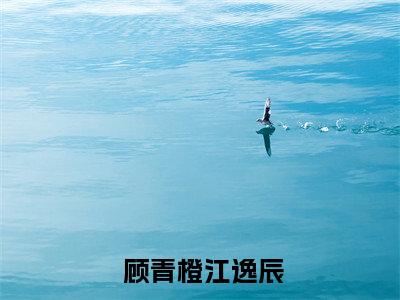 甜蜜七零：穿越女将军医术逆天（ 顾青橙江逸辰）小红书热荐小说-甜蜜七零：穿越女将军医术逆天女生爱看的小说全集资源