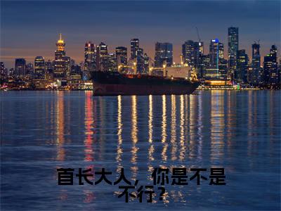 首长大人,你是不是不行?免费阅读-(首长大人,你是不是不行?)全文免费阅读无弹窗大结局(阮宁锦叶季同)最新章节列表_笔趣阁